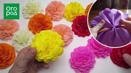 Цветы из бумаги своими руками: 80 фото-идей